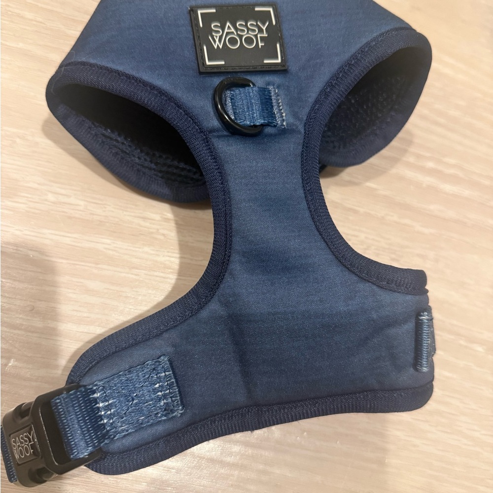 Blue Sassy Woof Dog Harness